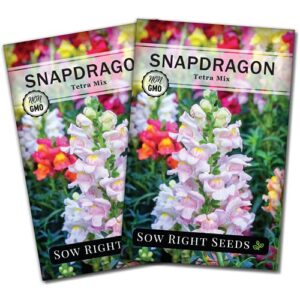 Sow Right Seeds - Tetra Mix Snapdragon Flower Seeds for Planting, Beautiful Flowers to Plant in Your Garden; Non-GMO Heirloom Seeds; Wonderful Gardening Gifts (2)