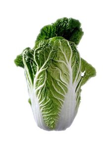 chinese michihili cabbage 600 seeds bok choi #114 zellajake farm and garden has tons of microgreens and sprouting seeds. check out our store now