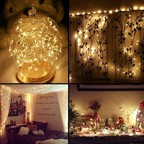 Daily-Necessities Battery Operated String Lights, 33ft 100 LED String Lights Dimmable with Remote Control for Outdoor, Bedroom, Garden, Christmas, Party, Wedding (Waterproof, Copper Wire, Warm White)