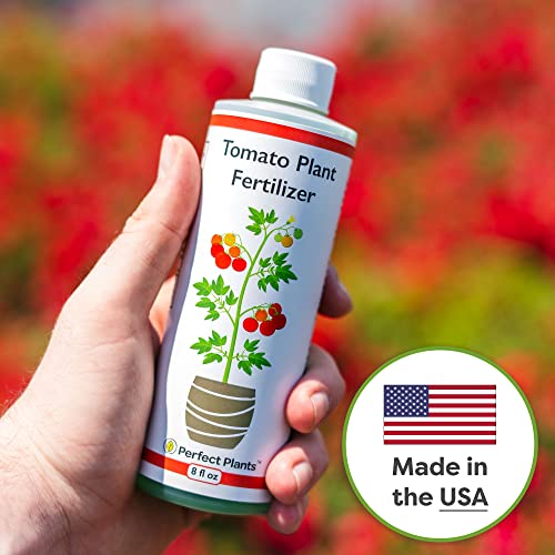 Perfect Plants Tomato Plant Fertilizer in 8oz. Bottle | Help Your Vegetable Garden Thrive | Rich in Essential nutrients