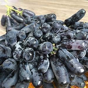elwyn rare black finger grape seed heirloom organic fruit seed natural growth, grape tree climbing plants diy for home garden 30 pcs 4