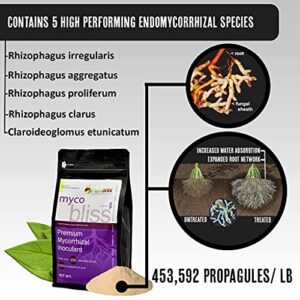 Myco Bliss - Mycorrhizal Inoculant for Plants - 5 Superior Strains - Organic Mycorrhizae Root Enhancer - Increases Nutrient Absorption & Crop Yields (1lb, Powder)