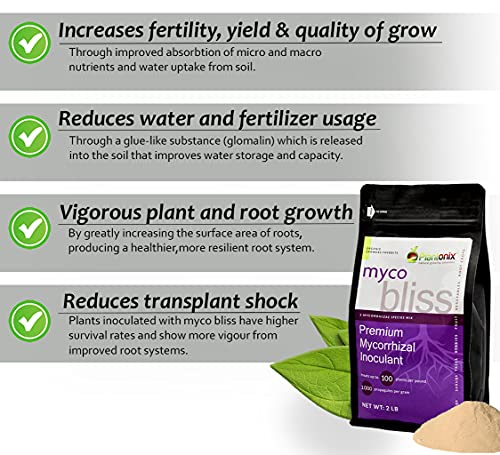 Myco Bliss - Mycorrhizal Inoculant for Plants - 5 Superior Strains - Organic Mycorrhizae Root Enhancer - Increases Nutrient Absorption & Crop Yields (1lb, Powder)