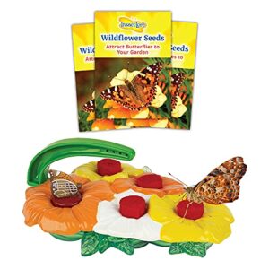 insect lore deluxe butterfly feeder with wildflower seeds