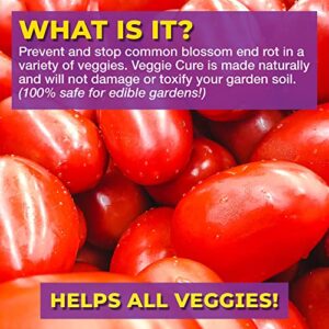 Veggie Cure by Bloom City, Blossom End Rot Solved for All Garden Plants & Vegetables (32 oz)