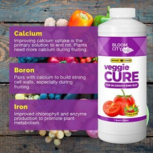 Veggie Cure by Bloom City, Blossom End Rot Solved for All Garden Plants & Vegetables (32 oz)