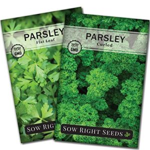 sow right seeds – flat leaf and curly leaf parsley seed collection for planting – non-gmo heirloom – instructions to grow a kitchen herb garden, indoor or outdoor – great gardening gift