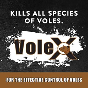 VoleX - Effective Against All Species of Voles. Safe for use Around People, Pets, Livestock, and Wildlife