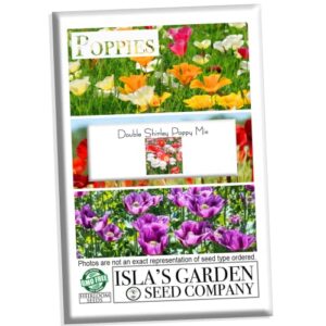 “:double shirley mix” poppy seeds for planting, 3000+ flower seeds per packet, (isla’s garden seeds), non gmo & heirloom seeds, botanical name: papaver rhoeas, great poppies for a gift
