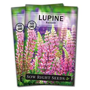 Sow Right Seeds - Russell Lupine Seeds to Plant - Full Instructions for Planting and Growing a Perennial Flower Garden; Non-GMO Heirloom Seeds; Wonderful Gardening Gift (2)