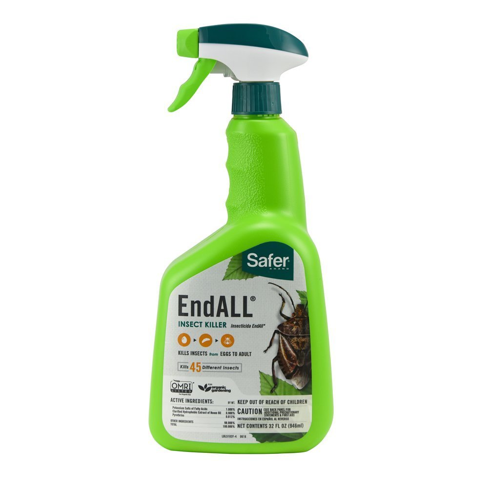Safer Brand 5102 5102-6 Ready-to-Use End All Insect Killer-32 oz, 32 oz, Green