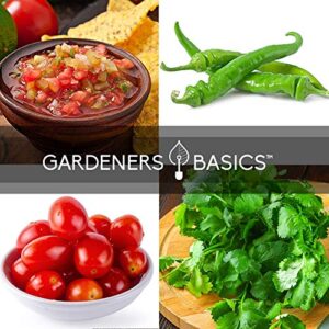 Heirloom Salsa Growing Seed Packets, Roma VF Tomato, Jalapeno, Cilantro, Anaheim and Onion Seeds for Garden Non GMO 5 Free Plant Markers Gardeners Basics