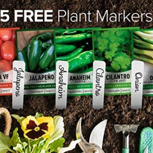 Heirloom Salsa Growing Seed Packets, Roma VF Tomato, Jalapeno, Cilantro, Anaheim and Onion Seeds for Garden Non GMO 5 Free Plant Markers Gardeners Basics