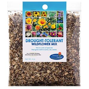 drought tolerant wildflower seeds open-pollinated bulk flower seed mix for beautiful perennial, annual garden flowers – no fillers – 4 oz packet