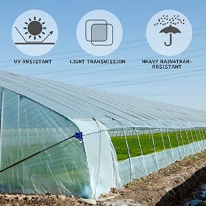 2 Pack Greenhouse Film 12' x 25' Clear Greenhouse Plastic Sheeting 6 Mil Green House Plastic Cover UV Resistant Polyethylene Film Coverings for Plant Farms Agriculture Garden