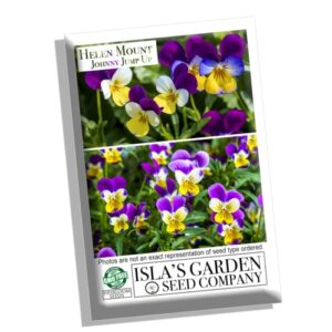 Helen Mount Johnny Jump Up Viola Flower Seeds, 500+ Seeds Per Packet, (Isla's Garden Seeds), Non GMO & Heirloom Seeds, Botanical Name: Viola cornuta, Viola Tricolor, Great Home Garden Gift