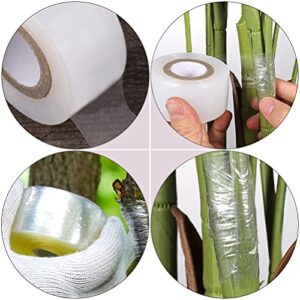 Cabilock Transparent Tape 5 Rolls Grafting Tape Garden Grafting Tape Clear Plant Repair Tape Self- Adhesive Garden Tape Stretchable Garden Graft Film for Fruit Floral Tree Stretch Belt Tool