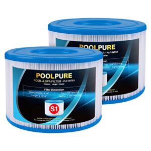 poolpure 2 pack type s1 replacement purespa filter for easy set pool cartridges, 11692 spa filter