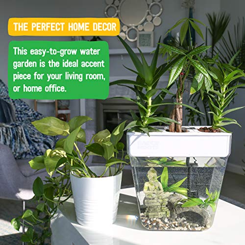 Back to the Roots Indoor Hydroponic Garden - 3 Gallon Self Watering, Mess-Free Planter for Herbs, Microgreens, Bamboo, Succulents, and Houseplants
