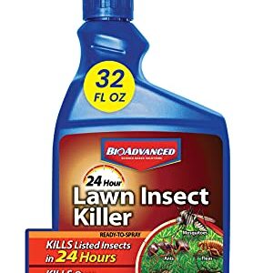 BioAdvanced 24 Hr Lawn Insect Killer, Ready-to-Spray, 32 oz