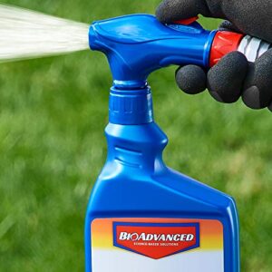 BioAdvanced 24 Hr Lawn Insect Killer, Ready-to-Spray, 32 oz