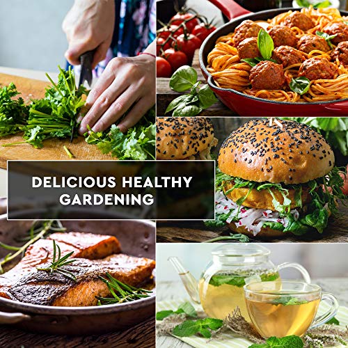 15 Culinary Herb Seeds Pack - Heirloom and Non GMO, Grown in USA - Indoor or Outdoor Garden - Basil, Parsley, Dill, Cilantro, Rosemary, Mint, Thyme, Oregano, Tarragon, Chives, Sage, Arugula & More