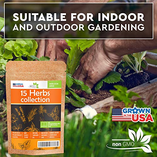 15 Culinary Herb Seeds Pack - Heirloom and Non GMO, Grown in USA - Indoor or Outdoor Garden - Basil, Parsley, Dill, Cilantro, Rosemary, Mint, Thyme, Oregano, Tarragon, Chives, Sage, Arugula & More