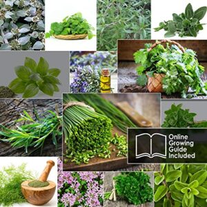 15 Culinary Herb Seeds Pack - Heirloom and Non GMO, Grown in USA - Indoor or Outdoor Garden - Basil, Parsley, Dill, Cilantro, Rosemary, Mint, Thyme, Oregano, Tarragon, Chives, Sage, Arugula & More