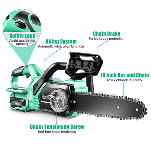 DREAMVAN Cordless Chainsaw, 20V Battery Powered Chainsaw, 10'' Battery Chainsaw with 4.0Ah Lithium Battery & Fast Charger, Electric Chainsaw for Trees Pruning, Wood Cutting, Farm/Garden