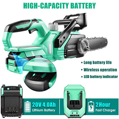 DREAMVAN Cordless Chainsaw, 20V Battery Powered Chainsaw, 10'' Battery Chainsaw with 4.0Ah Lithium Battery & Fast Charger, Electric Chainsaw for Trees Pruning, Wood Cutting, Farm/Garden