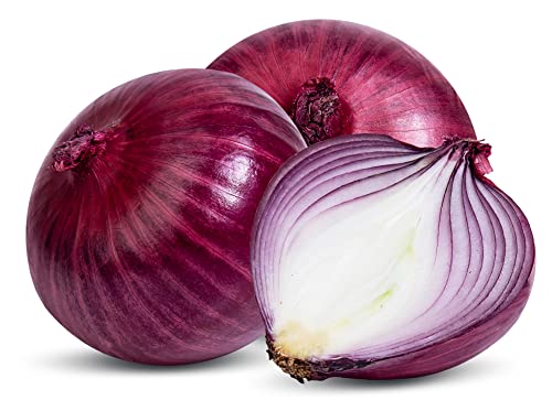 Red Shortday Burgundy Onion Seeds for Planting, 300+ Heirloom Seeds Per Packet, (Isla's Garden Seeds), Non GMO Seeds, Botanical Name: Allium cepa, Great Home Garden Gift