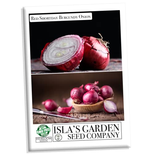 Red Shortday Burgundy Onion Seeds for Planting, 300+ Heirloom Seeds Per Packet, (Isla's Garden Seeds), Non GMO Seeds, Botanical Name: Allium cepa, Great Home Garden Gift