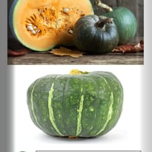 Burgess Buttercup Winter Squash, 25 Heirloom Seeds Per Packet, Non GMO Seeds, Botanical Name: Cucurbita Maxima, Isla's Garden Seeds