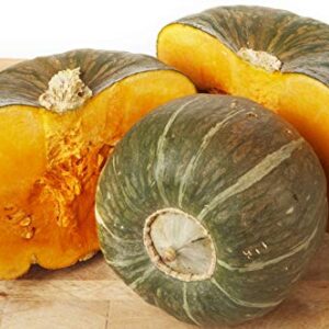 Burgess Buttercup Winter Squash, 25 Heirloom Seeds Per Packet, Non GMO Seeds, Botanical Name: Cucurbita Maxima, Isla's Garden Seeds