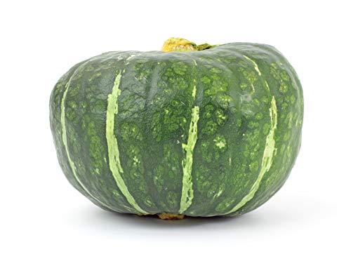 Burgess Buttercup Winter Squash, 25 Heirloom Seeds Per Packet, Non GMO Seeds, Botanical Name: Cucurbita Maxima, Isla's Garden Seeds