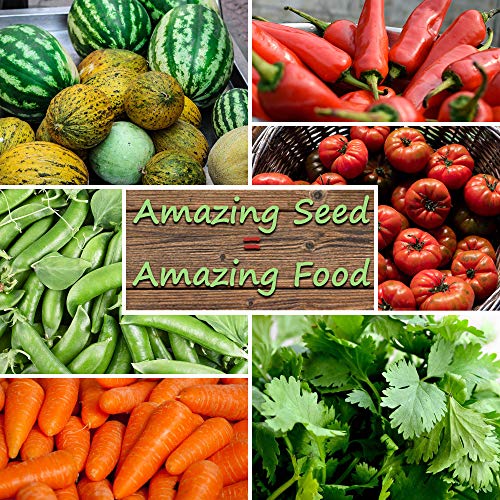 22,000 Non GMO Heirloom Vegetable Seeds, Survival Garden, Emergency Seed Vault, 34 VAR, Bug Out Bag - Beet, Broccoli, Carrot, Corn, Basil, Pumpkin, Radish, Tomato, More