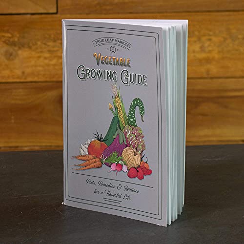 22,000 Non GMO Heirloom Vegetable Seeds, Survival Garden, Emergency Seed Vault, 34 VAR, Bug Out Bag - Beet, Broccoli, Carrot, Corn, Basil, Pumpkin, Radish, Tomato, More