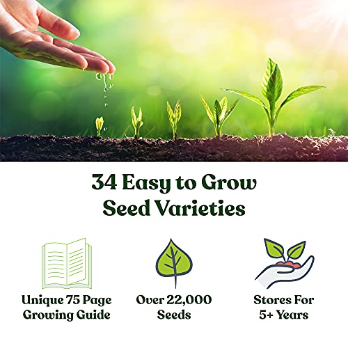 22,000 Non GMO Heirloom Vegetable Seeds, Survival Garden, Emergency Seed Vault, 34 VAR, Bug Out Bag - Beet, Broccoli, Carrot, Corn, Basil, Pumpkin, Radish, Tomato, More