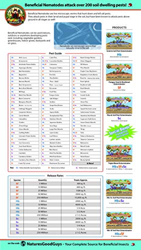 Bug Sales Beneficial Nematodes Hb & Sc - 25 Million