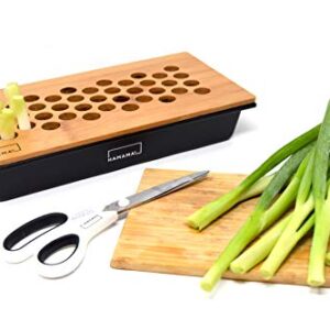 Hamama Home Green Onion Kit, Regrow Fresh Green Onions Indoors Every Week, 30-Second Setup, Just Add Water, Green Onion Ends. Includes Growing Tray, Coco Fiber Mats, Easy Instructions. Cooking Gift.