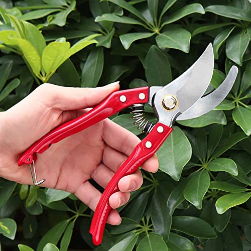 Generic Garden Secateurs Garden Scissors Pruning Shears Rust Proof High Carbon Steel SK5 Blade with Safety Lock Hand Secateurs & Pruning Scissors,Gold,One Size