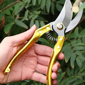 Generic Garden Secateurs Garden Scissors Pruning Shears Rust Proof High Carbon Steel SK5 Blade with Safety Lock Hand Secateurs & Pruning Scissors,Gold,One Size