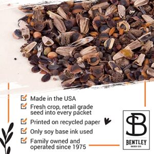 Bentley Seeds Growing Houses into Homes - Pre Filled Forget Me Not Garden Seed Packets - 25 Packed Forget Me Not Seed Packs - Perfect Realtor Gift for Prospecting or New Homeowners - Non GMO Seeds
