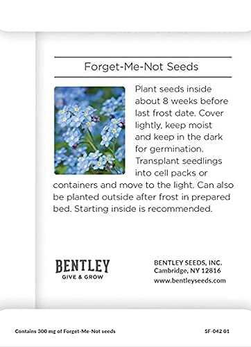 Bentley Seeds Growing Houses into Homes - Pre Filled Forget Me Not Garden Seed Packets - 25 Packed Forget Me Not Seed Packs - Perfect Realtor Gift for Prospecting or New Homeowners - Non GMO Seeds