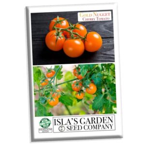 “gold nugget” cherry tomato seeds for planting, 25+ heirloom seeds per packet, (isla’s garden seeds), non gmo seeds, botanical name: solanum lycopersicum ‘gold nugget’, great home garden gift