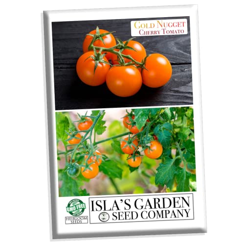 "Gold Nugget" Cherry Tomato Seeds for Planting, 25+ Heirloom Seeds Per Packet, (Isla's Garden Seeds), Non GMO Seeds, Botanical Name: Solanum lycopersicum 'Gold Nugget', Great Home Garden Gift