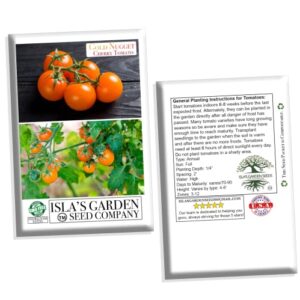 "Gold Nugget" Cherry Tomato Seeds for Planting, 25+ Heirloom Seeds Per Packet, (Isla's Garden Seeds), Non GMO Seeds, Botanical Name: Solanum lycopersicum 'Gold Nugget', Great Home Garden Gift