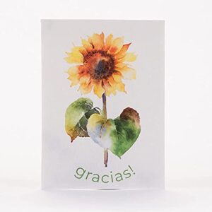 Gracias! 25 Sunflower Seed Packets for Planting - Helianthus Flower Seeds - Garden Seed to Grow Live Plants - A Beautiful Gift That Says Thank You in Spanish - Bentley Seed Co.