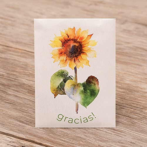 Gracias! 25 Sunflower Seed Packets for Planting - Helianthus Flower Seeds - Garden Seed to Grow Live Plants - A Beautiful Gift That Says Thank You in Spanish - Bentley Seed Co.