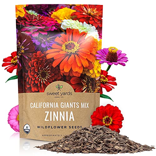 Bulk Zinnia Seeds - California Giants Mix - Bulk 1/4 Pound Bag Over 12,000 Flower Seeds - Mixed Colors and Large Blooms